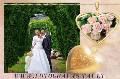 Balti balandziai vestuves, krikstynoms, ivairioms progoms skelbimo nuotrauka