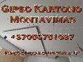 Gipso kartono montavimas - gipso-montavimas.lt skelbimo nuotrauka